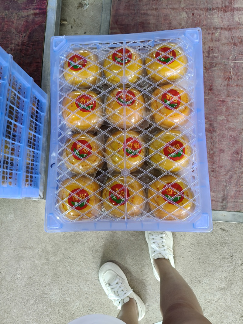 桂林恭城脆柿