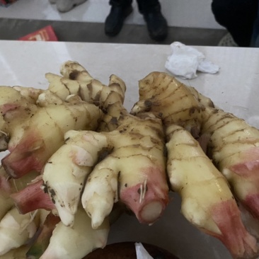 陕西宝鸡市扶风县本地大黄姜，周边有需要的老板联系我