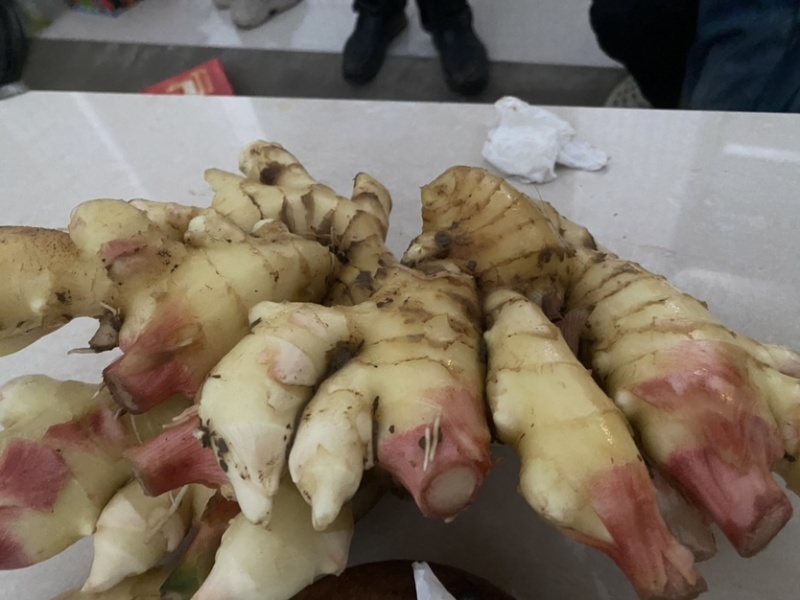 陕西宝鸡市扶风县本地大黄姜，周边有需要的老板联系我