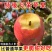 山西红富士苹果，产地一手货源，量大优惠脆甜多汁，欢迎合作
