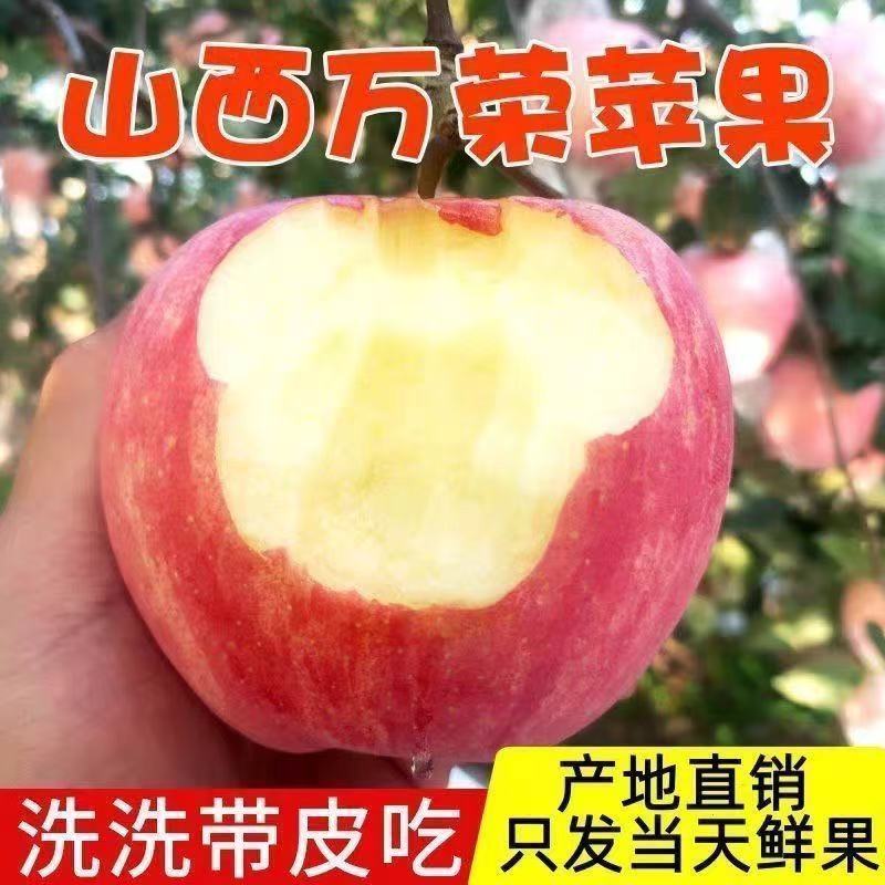 山西红富士苹果，产地一手货源，量大优惠脆甜多汁，欢迎合作