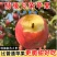 山西红富士苹果，产地一手货源，量大优惠脆甜多汁，欢迎合作