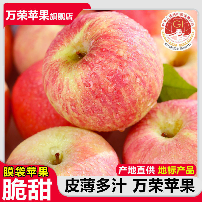 山西红富士苹果，产地一手货源，量大优惠脆甜多汁，欢迎合作
