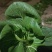 精品太湖菜