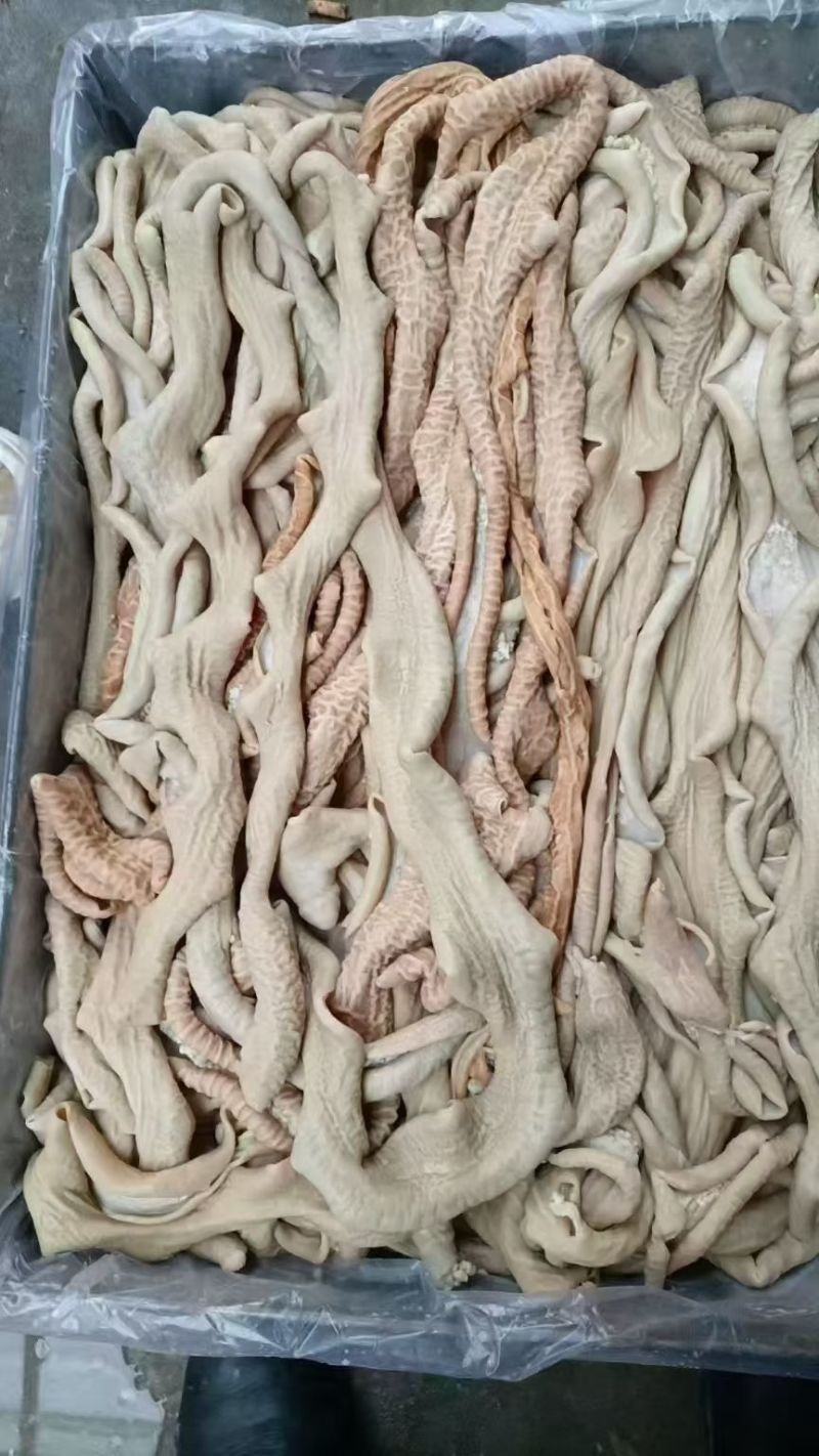 牛肠