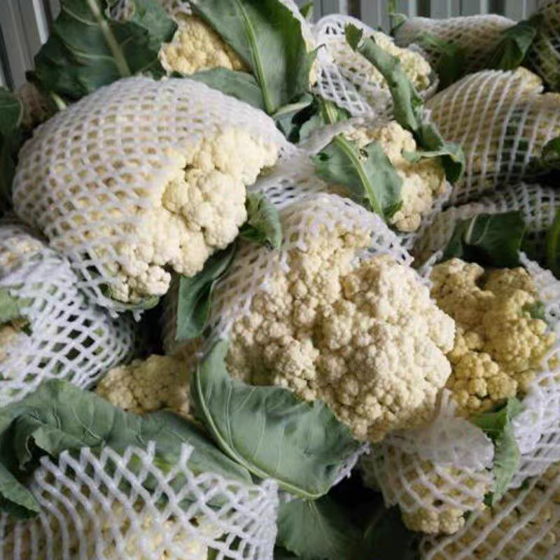 花菜实花菜石菜花产地一手货源保质保量欢迎订购