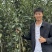 绥中县英恺苗木苹果苗，有泰山，鲁红，华硕，维纳斯，富士