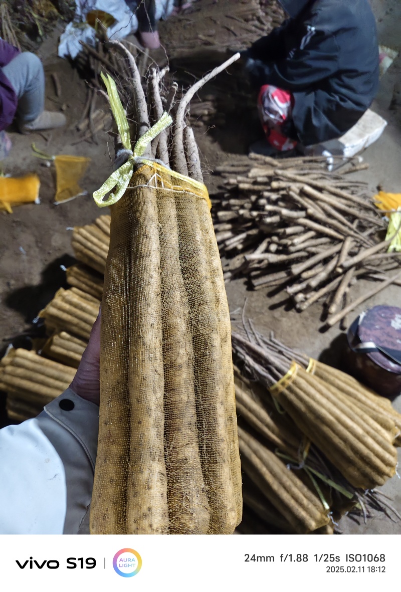 大量出售棒药，质量**，有需要的抓紧联系