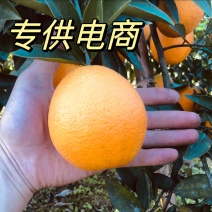鲜果脐橙锦橙大量上市，货好，糖，化渣，来哟搞皮