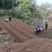 四川麦冬种苗带根带果小叶麦冬苗基地直供批发零售