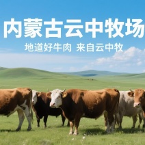 【牛肉干】