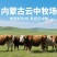 【牛肉干】