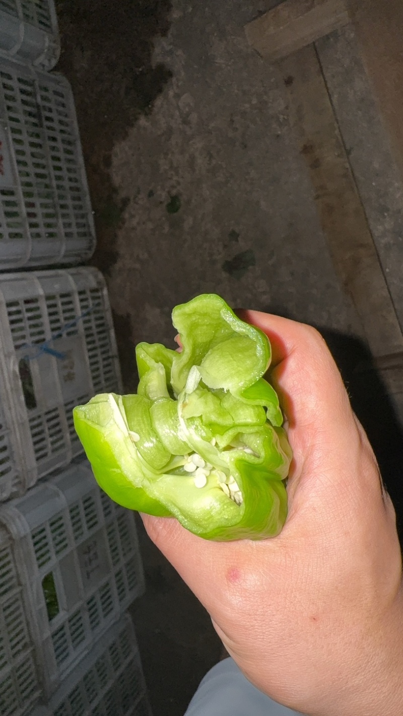 青椒薄皮