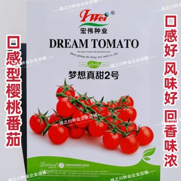 宏伟种业梦想真甜2号口感型樱桃番茄种子红圣女水果番茄种子