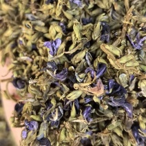 葛花（小葛花7