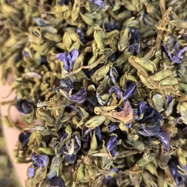 葛花（小葛花7