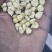 白黏玉米粒