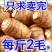 毛芋头过筛手选通货，山东邹城市，产地直供。