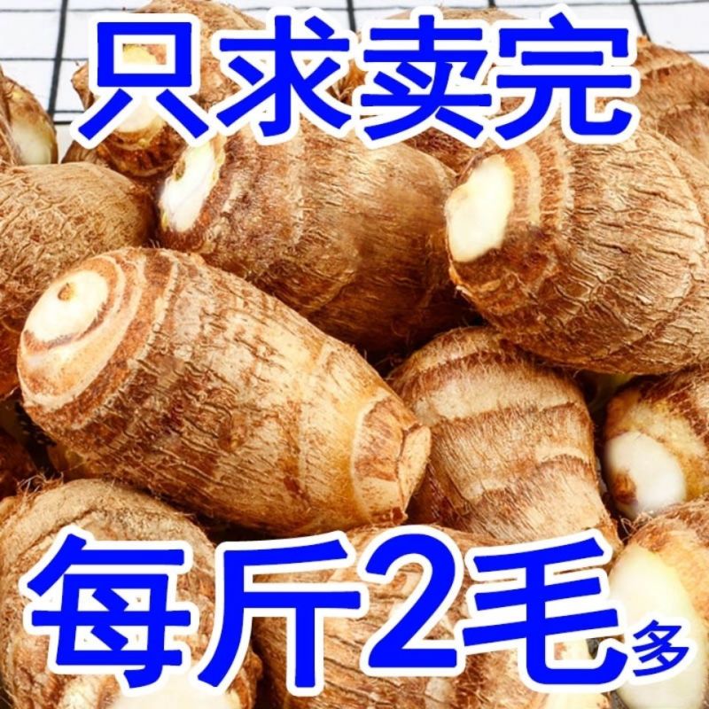毛芋头过筛手选通货，山东邹城市，产地直供。
