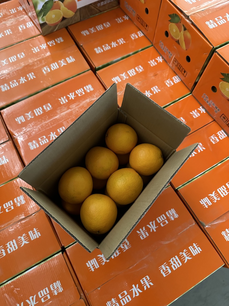 赣南脐橙产地供应链全平台一件代发集采整车日出万单