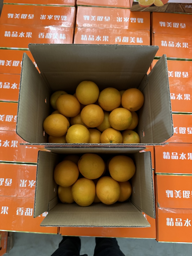 赣南脐橙产地供应链全平台一件代发集采整车日出万单
