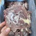 诚信商家，羊脖切片，价格何时，欢迎联系，一手货