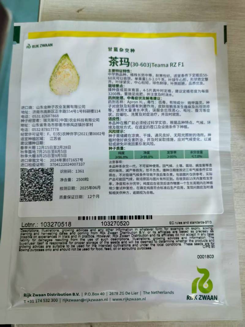甘蓝苗圆球形甘蓝苗，牛心甘蓝苗，早熟耐热，适应性强