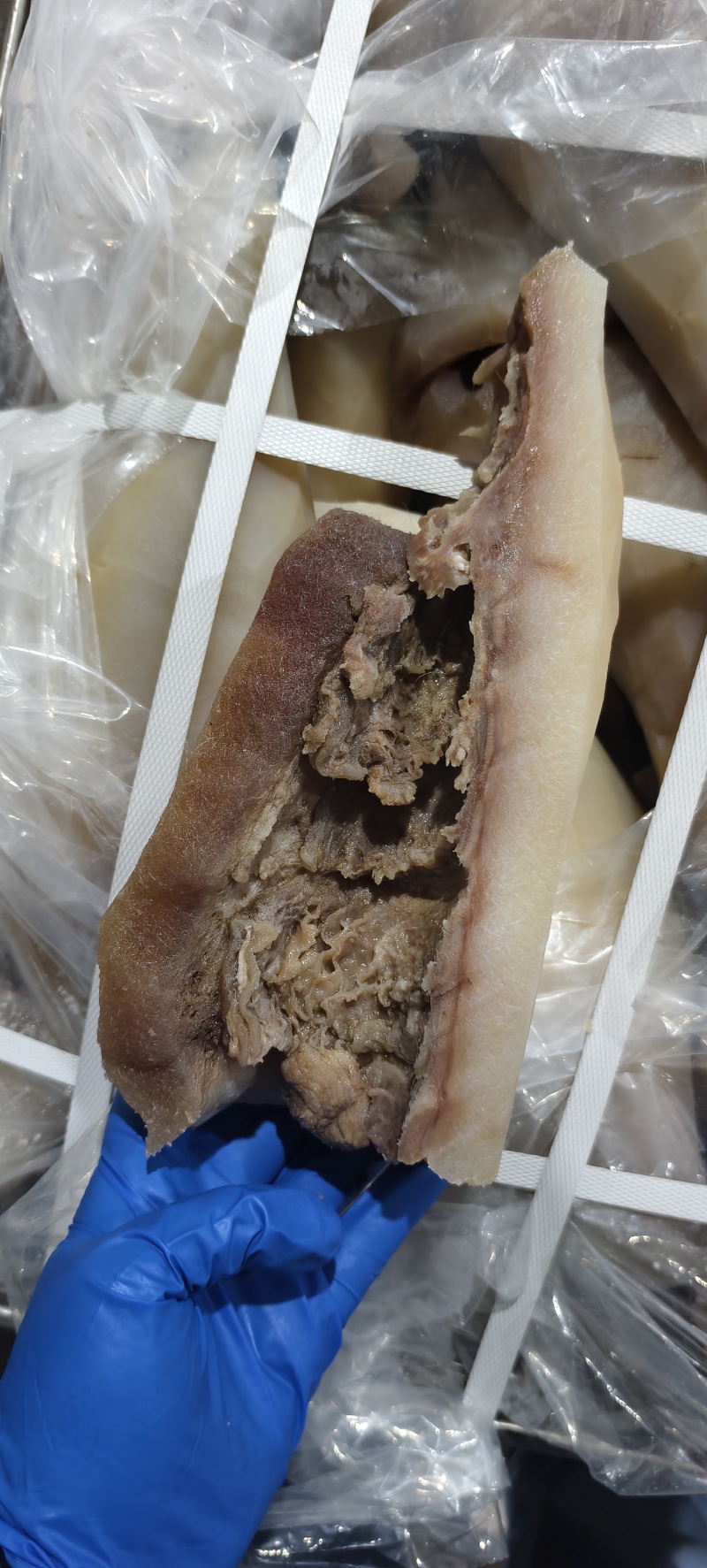 刀削毛牛头皮