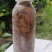 竹蝉，味道鲜美，适合油炸，铁板，