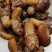 竹蝉，味道鲜美，适合油炸，铁板，