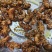 竹蝉，味道鲜美，适合油炸，铁板，