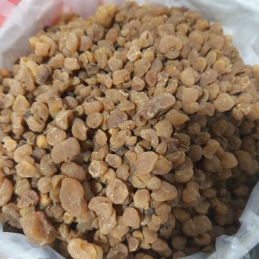 新货土贝母土贝草贝大贝母贝母规格齐全