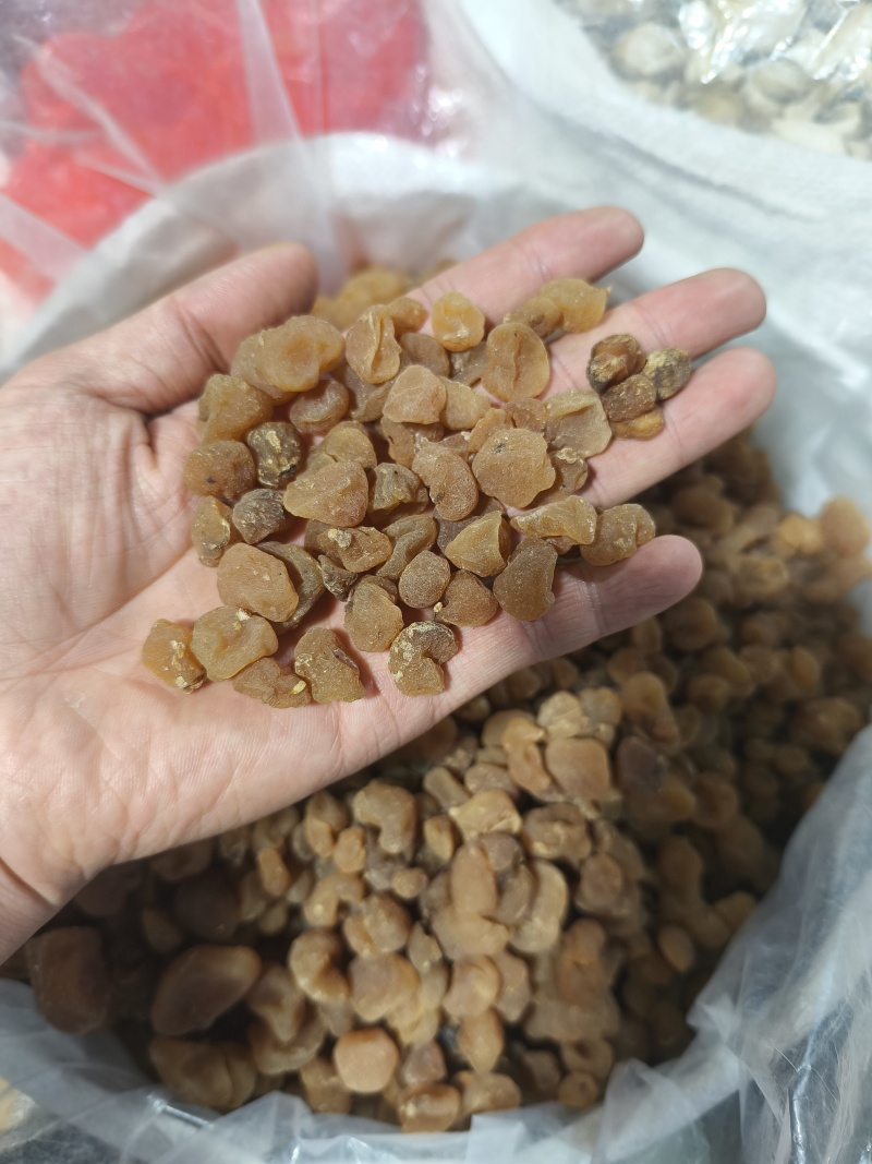新货土贝母土贝草贝大贝母贝母规格齐全
