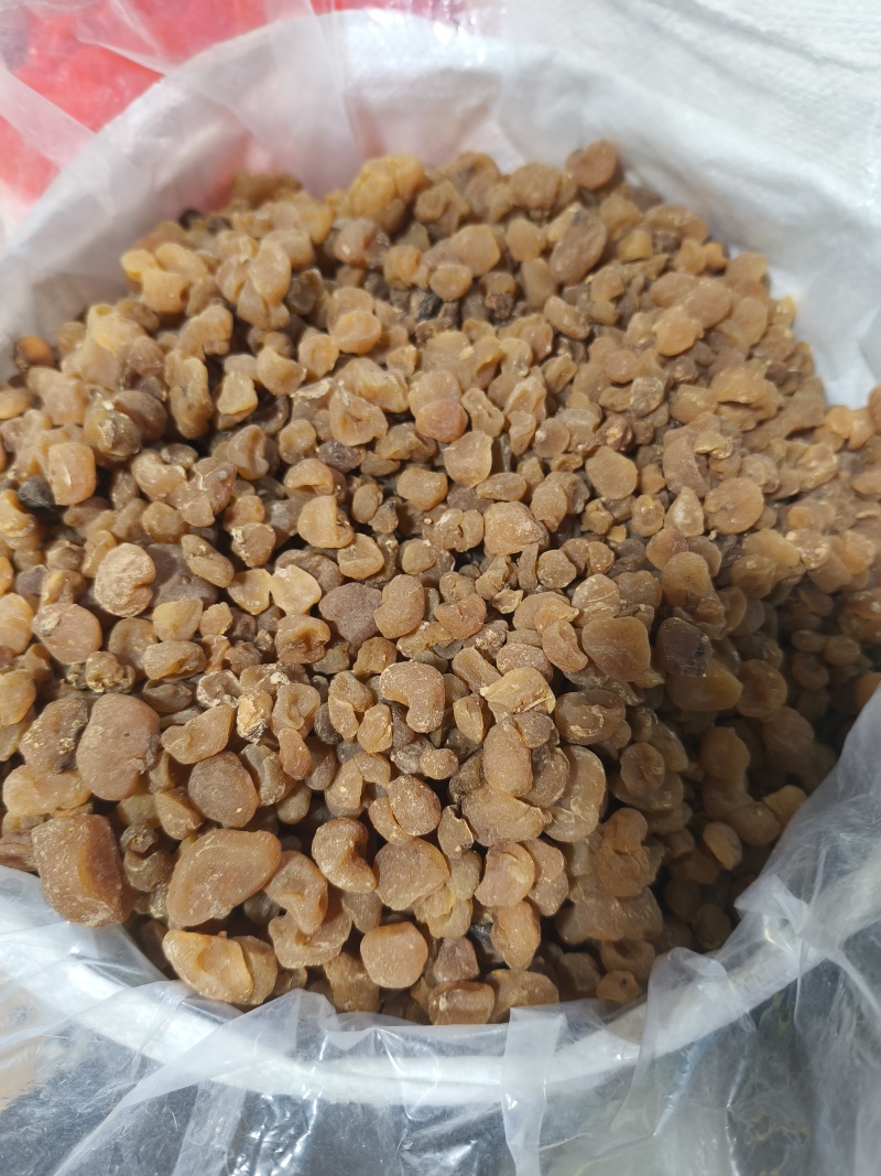 新货土贝母土贝草贝大贝母贝母规格齐全