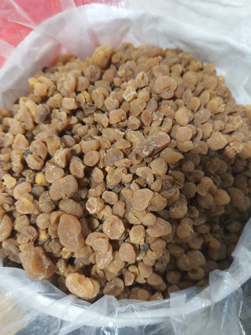 新货土贝母土贝草贝大贝母贝母规格齐全