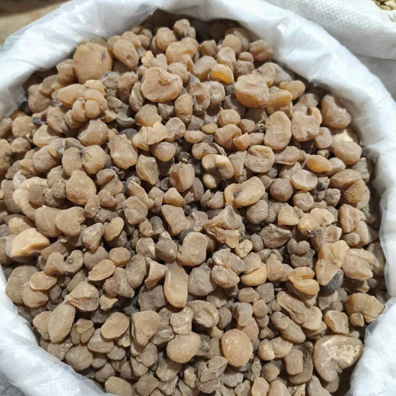 无硫原装土贝母无硫土贝各种规格中药材