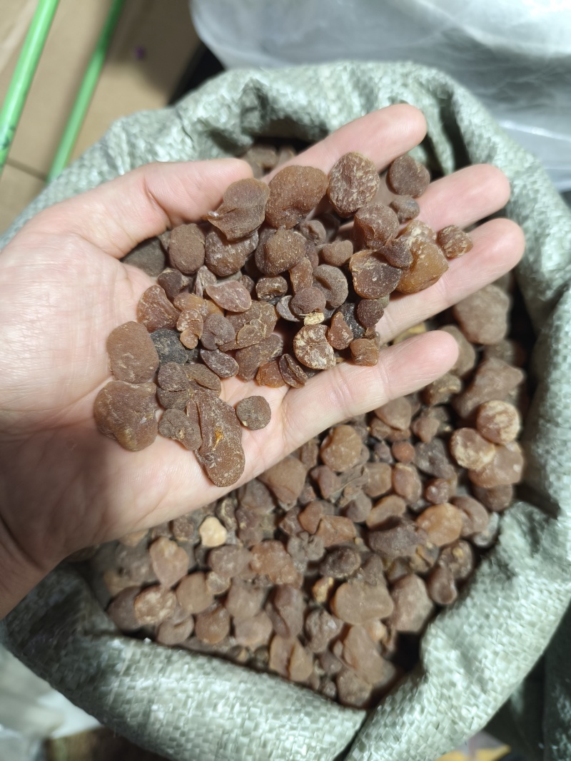 无硫原装土贝母无硫土贝各种规格中药材