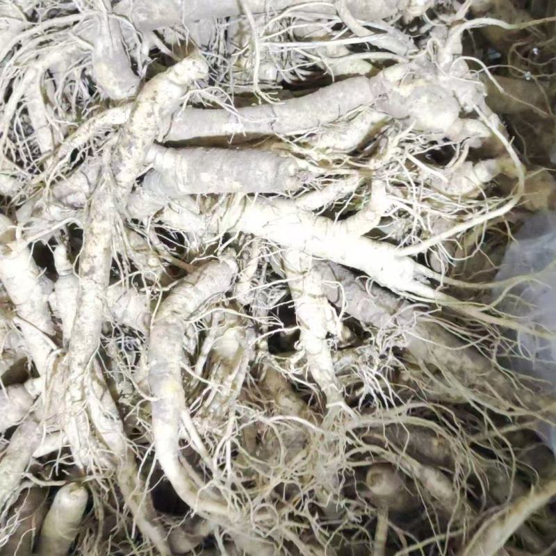 长白山西洋参支持线上保障交易，大中小各种规格