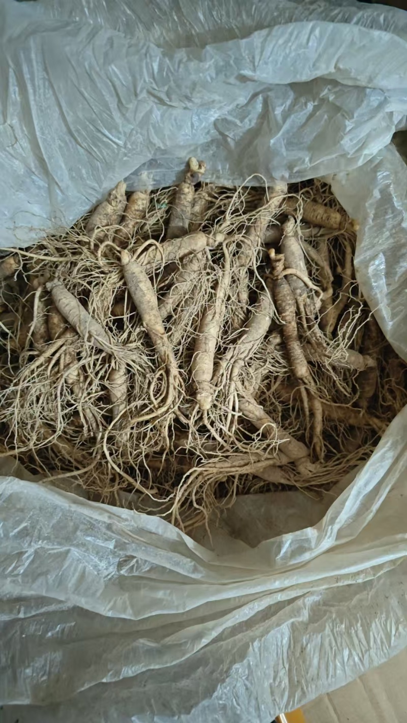 长白山西洋参支持线上保障交易，大中小各种规格