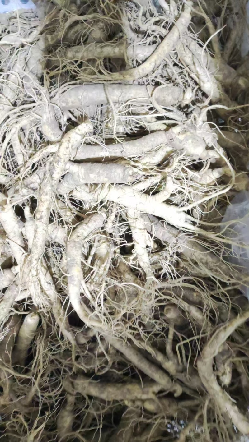 长白山西洋参支持线上保障交易，大中小各种规格