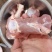 满肉羊棒骨