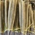 铁棍，双棒，紫药，小白嘴等各种规格全都有货，代采代发