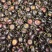 云南红果叁