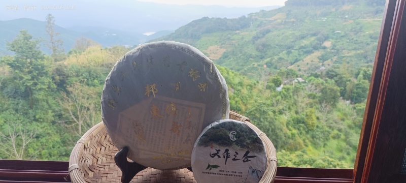 357克古树普洱生茶