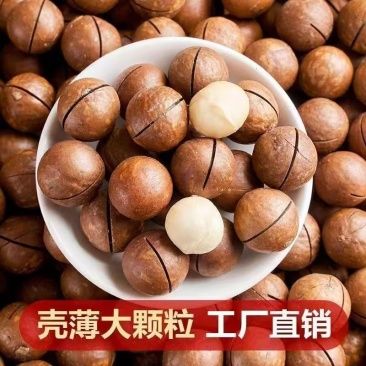 新货】5A大颗粒奶油味夏威夷果坚果炒货干果年货送开口器