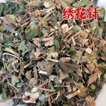 中药材绣花针正品绣花针野生伏牛花虎刺刺龙牙虎阳