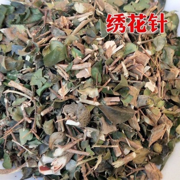 中药材绣花针正品绣花针野生伏牛花虎刺刺龙牙虎阳