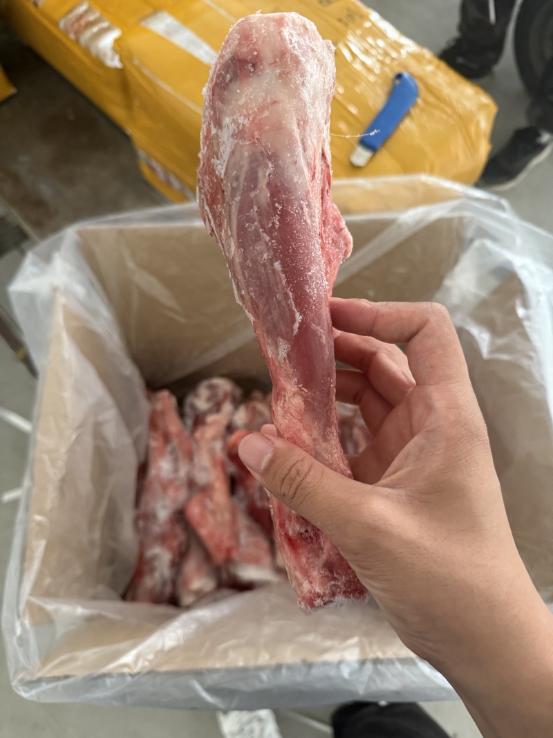 羊金刚