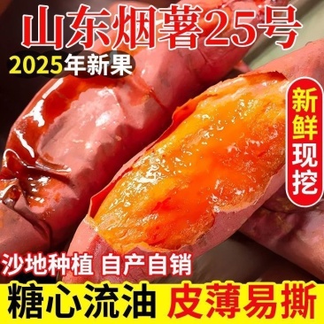 山东红薯烟薯25电商批发现挖现发产地发货量大从优