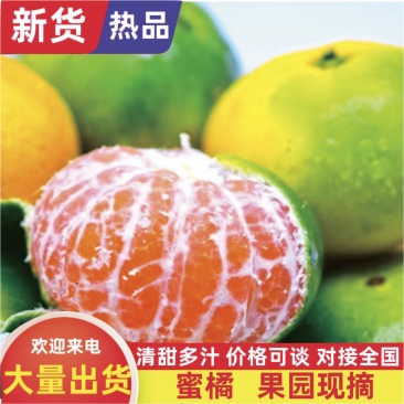 湖南高山蜜橘纯甜化渣，对接市场电商社区团购